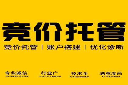 案例解析：sem竞价策略在电商平台的成功应用